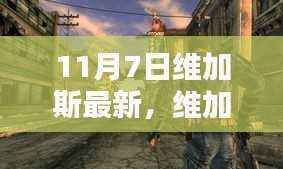 维加斯最新评测与介绍，全面解读维加斯新动态（11月7日更新）