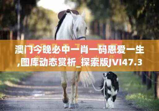 澳门今晚必中一肖一码恩爱一生,图库动态赏析_探索版JVI47.31