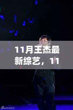 11月王杰综艺节目热议，多元视角下的观点碰撞与个人立场阐述