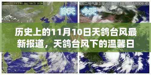 天鸽台风下的友情与陪伴，历史时刻下的温馨日常最新报道