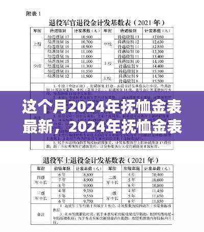 2024年抚恤金表更新，变化中的学习之旅，自信与成就感的鼓舞之路