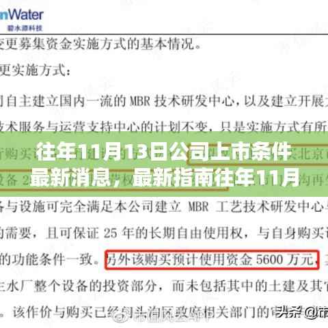 最新指南,详解公司上市条件及准备步骤,往年11月13日最新消息更新!
