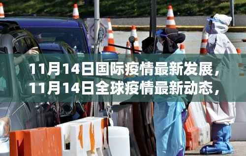 全球疫情动态更新,国际抗疫进展与关键分析(11月14日最新)