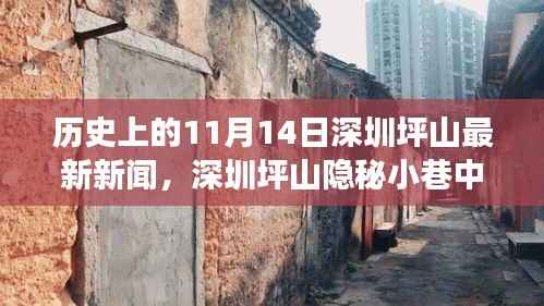 深圳坪山隐秘小巷特色小店传奇故事,味觉奇迹揭秘,11月14日最新新闻速递