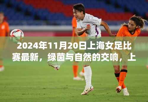 上海女足比赛背后的心灵之旅，绿茵与自然的交响，最新消息来自2024年11月20日上海女足比赛现场