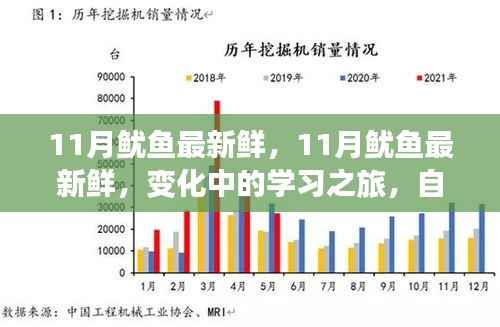 11月鱿鱼盛宴，新鲜海鲜的学习之旅与自信成就感的汇聚