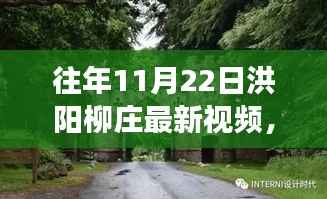 容光焕发 第5页