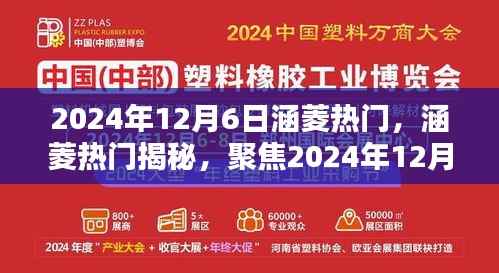 涵菱热门揭秘，聚焦三大看点，揭秘2024年12月6日的秘密