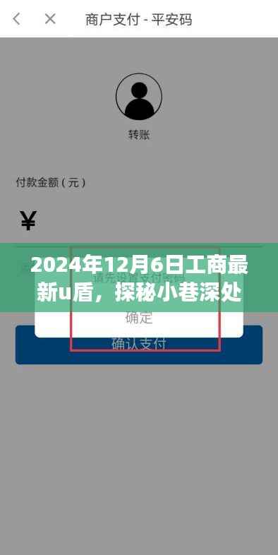 探秘宝藏小店,揭秘2024年工商最新U盾特色之旅