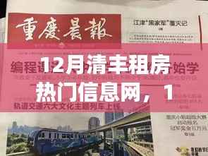 12月清丰租房热门信息，变化与学习的起点，自信与成就的新篇章