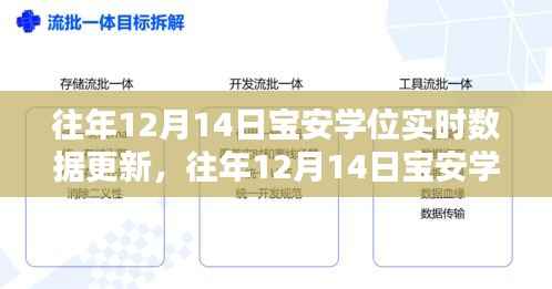 往年12月14日宝安学位实时数据更新，洞悉教育资源动态分配情况