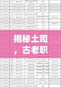 揭秘土司，古老职位的百度解读概览