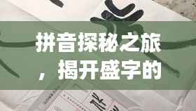拼音探秘之旅，揭开盛字的奥秘