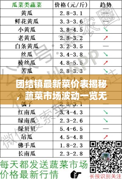 团结镇最新菜价表揭秘,蔬菜市场波动一览无余