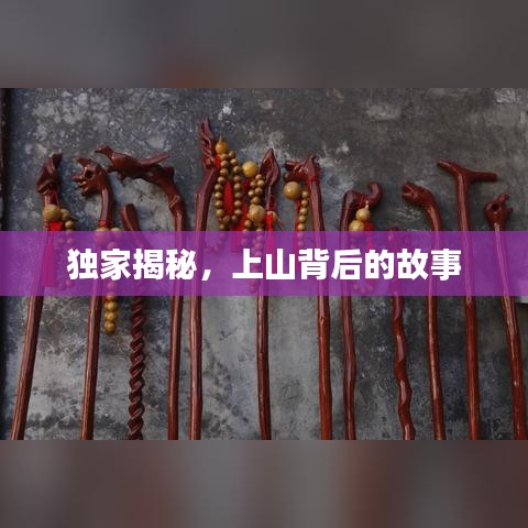 独家揭秘，上山背后的故事