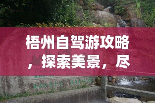 慌慌张张